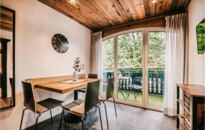 Awesome apartment in Wagrain with WiFi and 1 Bedrooms